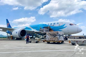 九游J9（中国）-包含山东男篮内部会议纪要流出——清晨伤情更新；法国杯使命明确；数据趋势出现新变化的词条